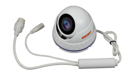 Купить IP камера видеонаблюдения CARCAM CAM-1889P