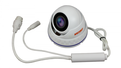 Купить IP камера видеонаблюдения CARCAM CAM-2889P