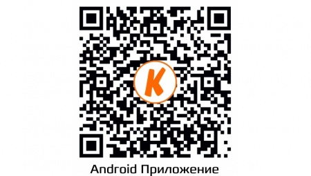 Купить IP камера видеонаблюдения CARCAM CAM-1896VP